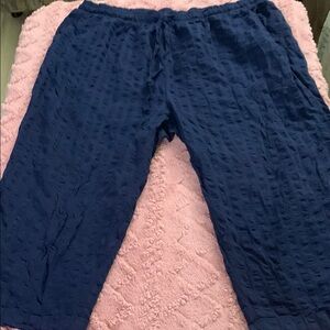 Woman Within Navy Textured Trousers